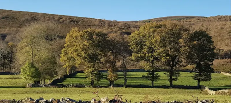 Paisaje otoñal